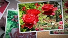Rose Day Video, SMS, Quotes Wallpapers