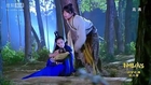 《新神雕侠侣》 31主演：陈晓 陈妍希 张馨予 杨明娜 毛晓彤