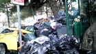 Marseille : un renard en plein festin dans les poubelles
