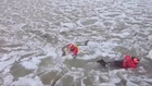 US Coast Guard rescues dog in icy waters