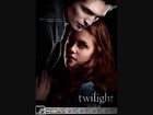 Twilight Soundtrack[Flightless Bird, American Mouth]